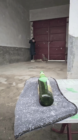 20250503-111327-f3a6bc0f-d21b-41e9-a15b-635a9e44fece.0.pic.gif