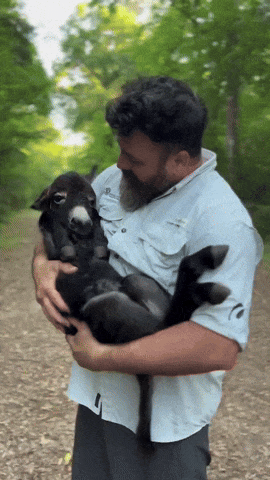 https://rehost.diberie.com/Uploads/0/20250524-114959-17965198-d132-4d23-a823-c6fff1080f09.0.pic.gif