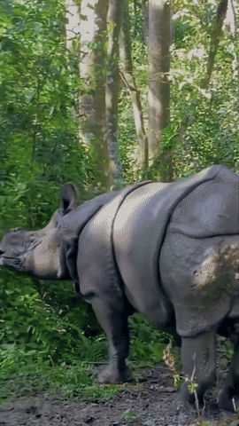 20250819-085113-3e8aaf65-af8a-4846-bd44-98ca5aa00eca.0.pic.gif