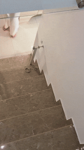 https://rehost.diberie.com/Uploads/0/20250907-143418-25bb4a5b-2a51-4576-80c5-5e5e5469701a.0.pic.gif