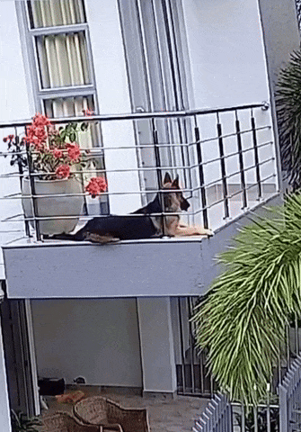 https://rehost.diberie.com/Uploads/0/20250907-151853-bd37d69a-49d5-432f-aa5b-6de9789e4f6f.0.pic.gif