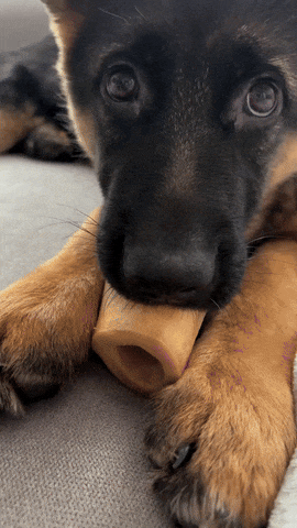 https://rehost.diberie.com/Uploads/0/20250907-152217-8c65b84f-aa62-41ec-958b-c42c1a236dad.0.pic.gif