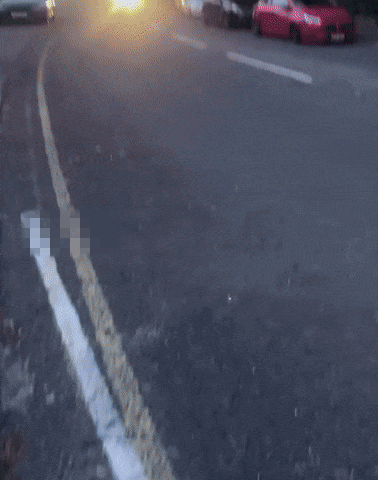 https://rehost.diberie.com/Uploads/0/20250914-133731-2efb44cb-b7aa-49f5-a2c4-d501e460a1f6.0.pic.gif