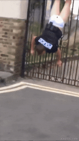https://rehost.diberie.com/Uploads/0/20250916-081444-ee8c38a2-7689-470f-af4f-c61866c5c801.0.pic.gif