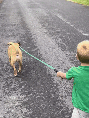 https://rehost.diberie.com/Uploads/0/20250927-190004-29472b4e-6d94-40ce-9962-425b338a86d6.0.pic.gif