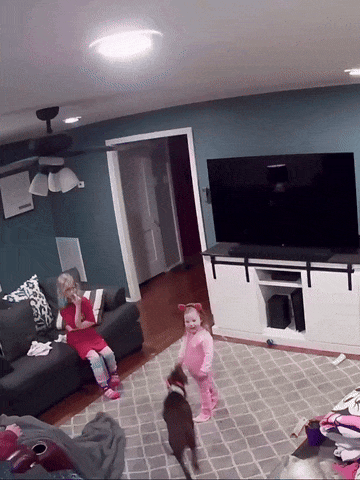 https://rehost.diberie.com/Uploads/0/20250927-191244-ea08403f-6041-44b6-9373-27e74aad7648.0.pic.gif