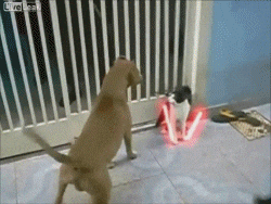 https://rehost.diberie.com/Uploads/0/20260504-175844-38ddd739-5287-4cbd-8745-21afddf61700.0.pic.gif