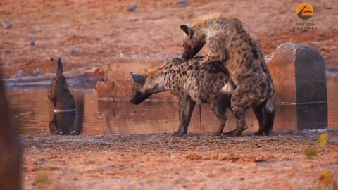 https://rehost.diberie.com/Uploads/0/20260506-090041-1794c01b-e076-4b3e-8635-141fb1020fc8.0.pic.gif