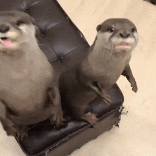 https://rehost.diberie.com/Uploads/0/20260520-164743-d2a88ff4-c24e-48ea-b4ef-98b773b14163.0.pic.gif