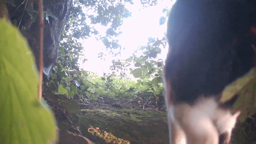 https://rehost.diberie.com/Uploads/0/20260608-163656-690900ce-b13b-4e86-8631-9b4ff07fcf84.0.pic.gif