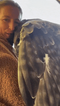 https://rehost.diberie.com/Uploads/0/20260630-182627-4ad3665e-115a-4eac-ae2a-1914f4545994.0.pic.gif