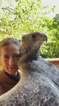 https://rehost.diberie.com/Uploads/0/20260630-182627-5d854eb3-b5af-4446-b0c3-51bfc625cc26.0.pic.gif