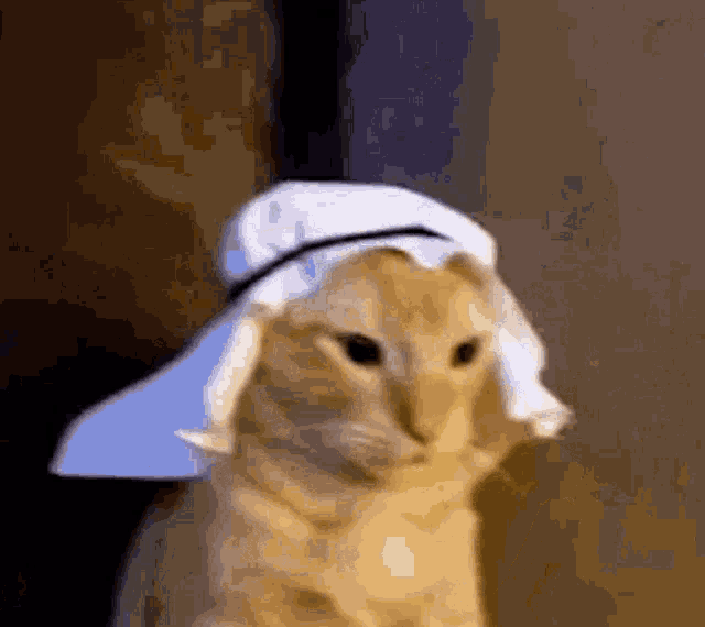 https://rehost.diberie.com/Uploads/0/20260707-174133-7f16ffc4-b829-4015-9dcf-7f3af1da2c0e.0.pic.gif