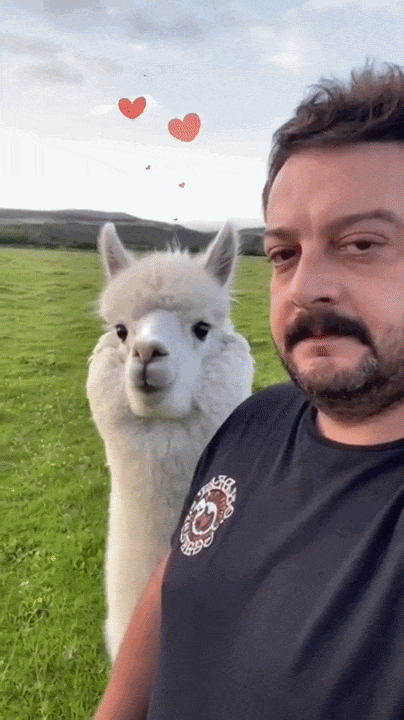 20260713-100109-2b573672-4e3b-4fc8-81b9-f6a3c90db168.0.pic.gif