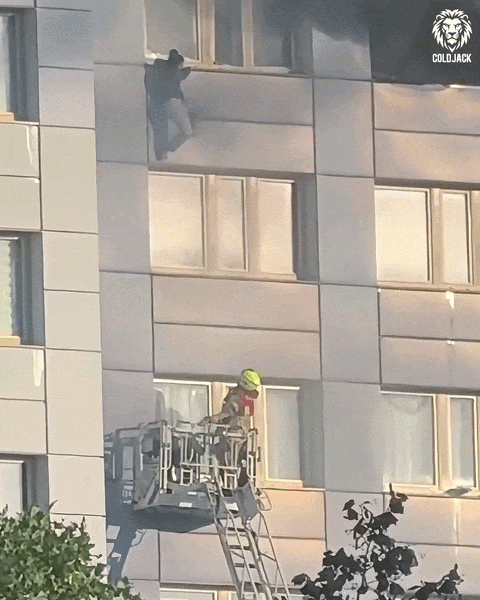 20260825-080833-88ccee4b-b259-4de0-8347-24c8b1cf7442.0.pic.gif