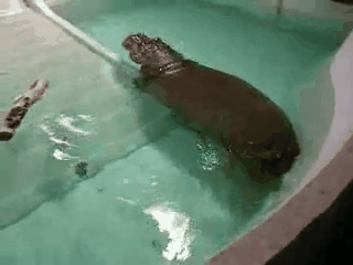 https://rehost.diberie.com/Uploads/0/20260826-033807-87597d87-53b1-46cd-9c98-b7c5b859fc9c.0.pic.gif