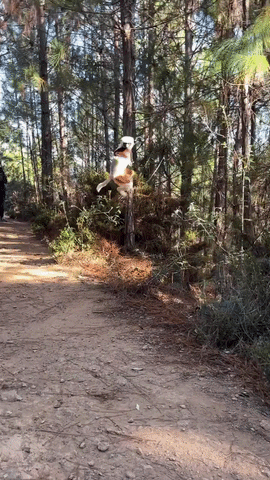 https://rehost.diberie.com/Uploads/0/20260915-111016-15bdd7f8-9325-4002-b242-98dc22c05123.0.pic.gif