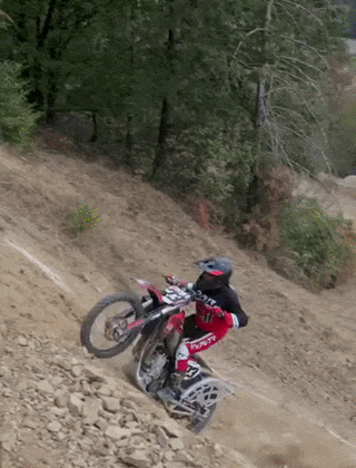 20260928-120020-bede736d-d51a-4df0-8cb9-0d74ee8cadac.0.pic.gif