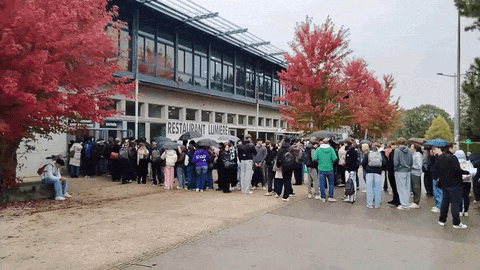 https://rehost.diberie.com/Uploads/0/20261020-163113-34a32cd0-7c3d-4227-9e17-8c8472615161.0.pic.gif
