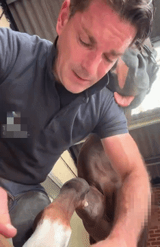 https://rehost.diberie.com/Uploads/0/20261028-161355-fd6429a3-5118-42af-a046-27bd551f936c.0.pic.gif
