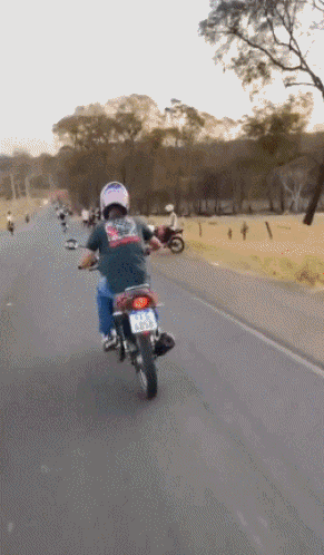 20241029-142609-27c60e59-634a-4c44-a749-6d399ca2e7e1.11395.pic.gif