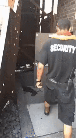 20241115-135545-3a568f07-06ee-4185-b343-c7be322c6642.11395.pic.gif
