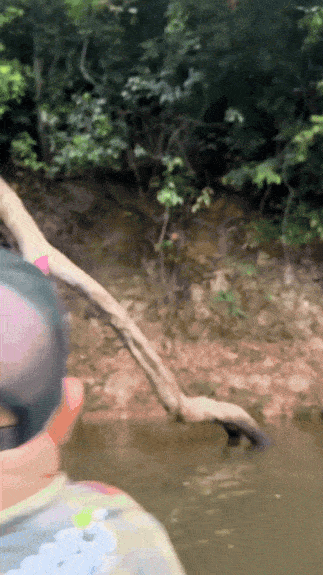 20241117-140318-36512133-8aec-424b-afff-393917a31ccf.11395.pic.gif
