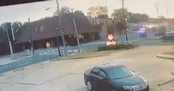 20241118-142052-c9504a3d-7001-4934-bdde-1bf94a156aa5.11395.pic.gif