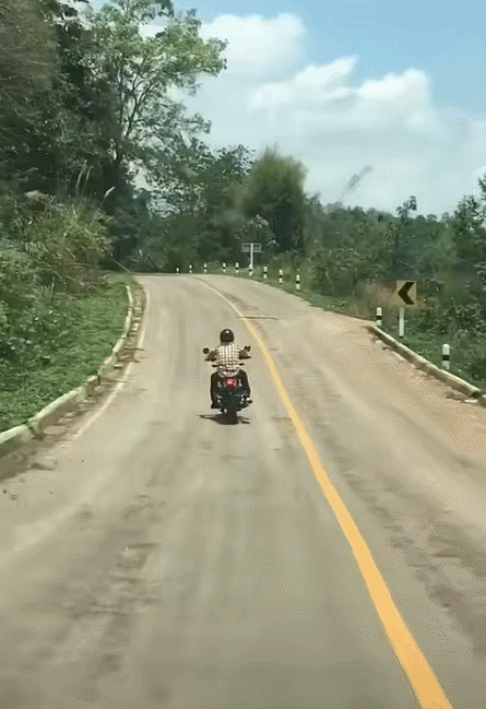 20241231-135809-8d25e42d-d236-4fc8-833a-b950abf2ef4e.11395.pic.gif