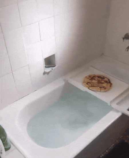 20250103-143344-98e64d2d-826d-4a11-ac15-22a3fcb85286.11395.pic.gif