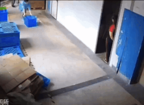 20250104-135038-a78d7048-1ead-432b-a766-d368e916a2d2.11395.pic.gif