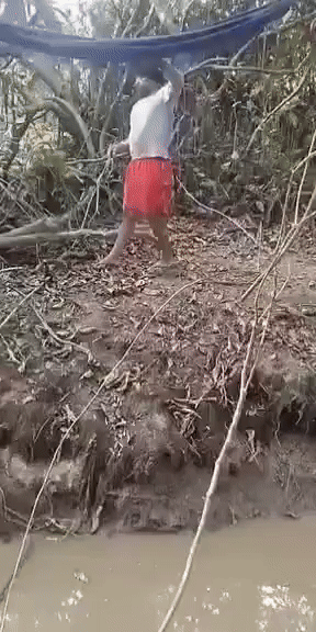 20250104-142653-221bcacb-c9c5-4cea-9362-a21fc919db98.11395.pic.gif