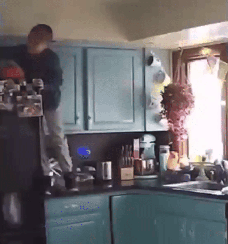 20250107-212011-266b5cb2-2e6a-47c0-860d-b1ae5c3f5ae5.11395.pic.gif
