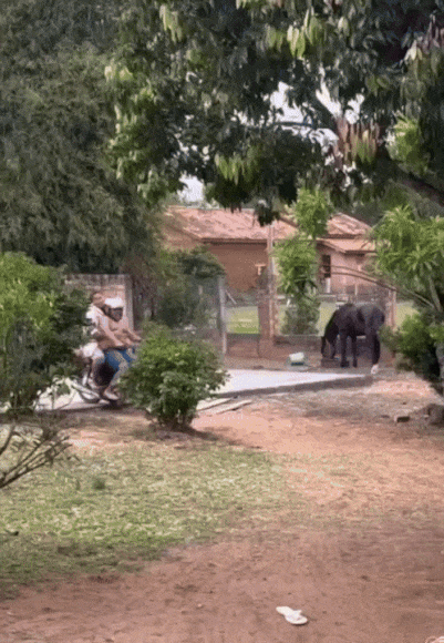 20250207-135427-68124468-b16d-4b7d-9e31-a5df9aa75088.11395.pic.gif