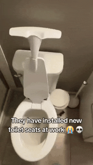 20250208-135450-ef9b1a1a-f800-4de9-8c17-60a15b465f8e.11395.pic.gif