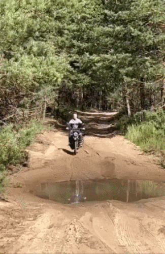 20250219-134410-8e15bdfb-8d16-4bf2-9f4d-8100ceed998d.11395.pic.gif