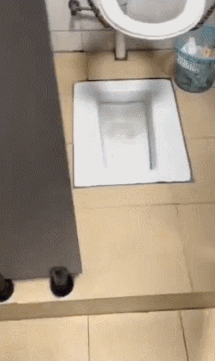 https://rehost.diberie.com/Uploads/11395/20250303-142917-ecc9006b-3b1b-4443-aedd-fb2ab991b7db.11395.pic.gif