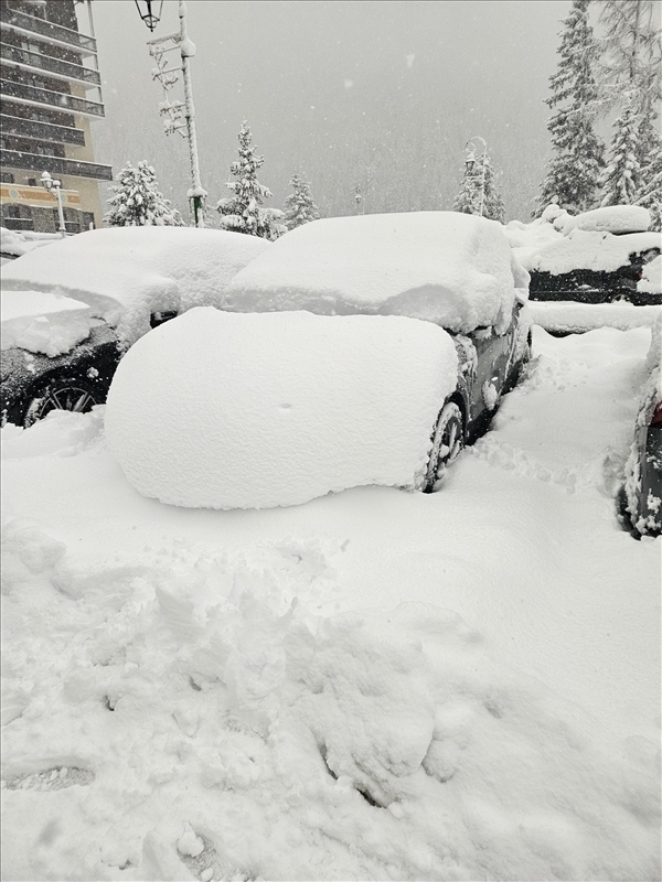 Image redimensionnée