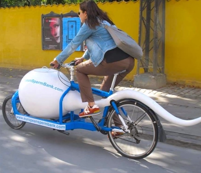 Image redimensionnée