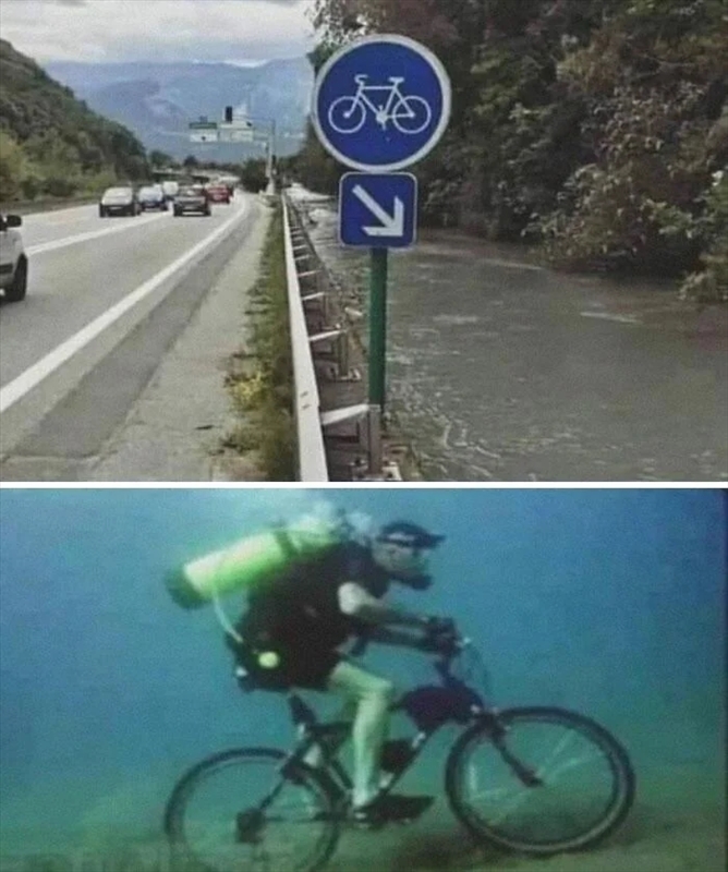 Image redimensionnée