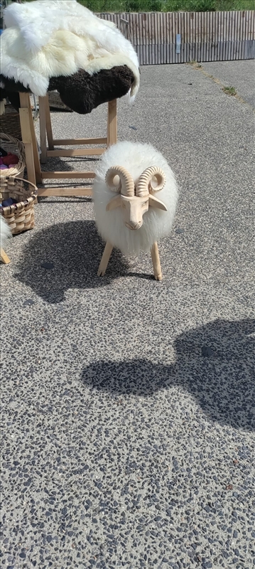 Image redimensionnée