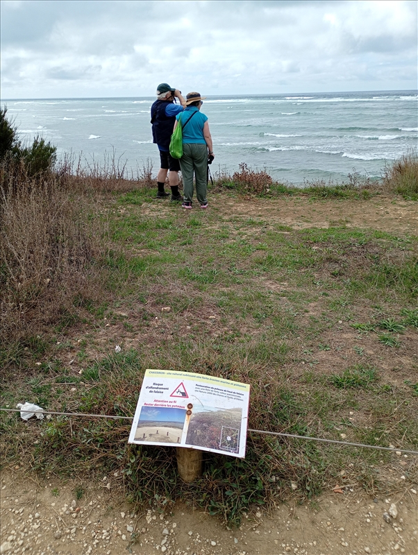 Image redimensionnée