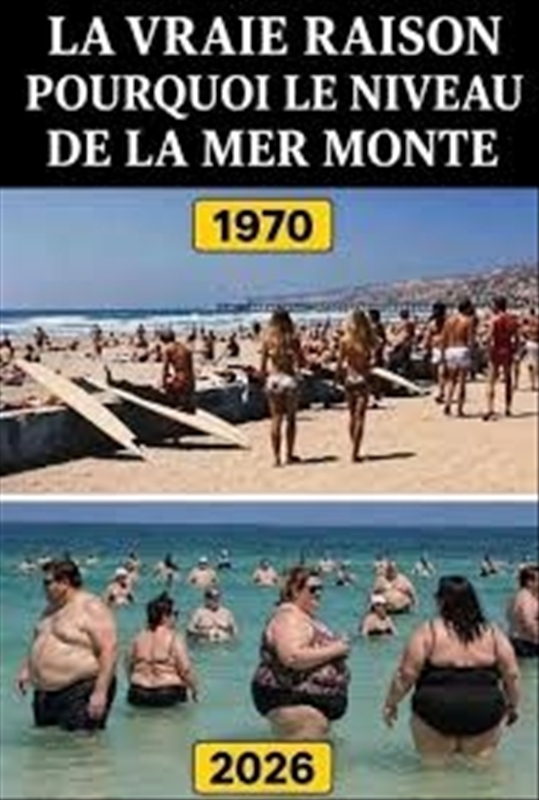 Image redimensionnée