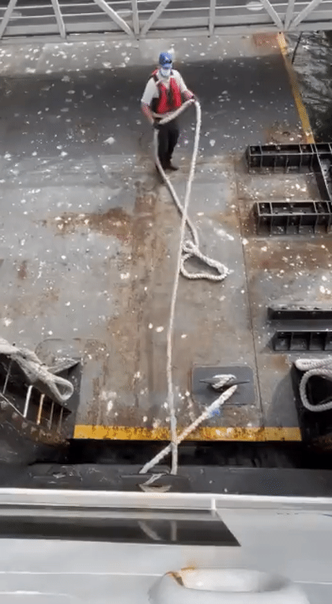 https://rehost.diberie.com/Uploads/384/20220918-095323-633849a0-82b5-43fc-a228-bcad02b20564.384.pic.gif
