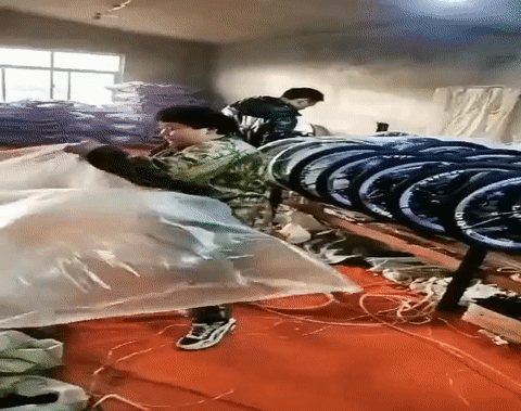 https://rehost.diberie.com/Uploads/384/20220918-111124-3567dbf4-a4b5-4a3f-90c6-cba926328b61.384.pic.gif