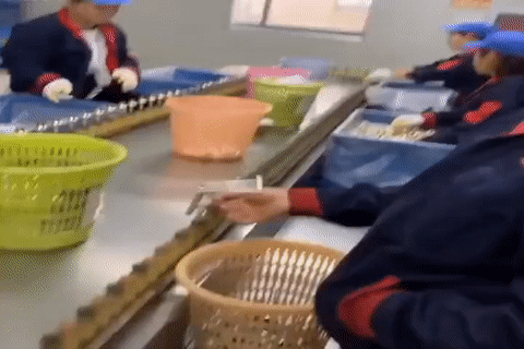 https://rehost.diberie.com/Uploads/384/20220918-111255-72677f61-f5f6-4a1d-bc4b-40c32efc0741.384.pic.gif