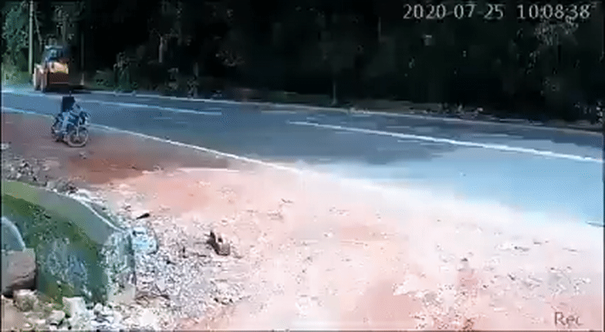 https://rehost.diberie.com/Uploads/384/20221003-183523-b6d8f17f-df2c-46bc-bc4c-d2cd2675cbb3.384.pic.gif