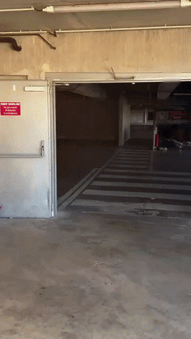 20260607-083107-5bcf568b-1621-4bbf-a4b0-6c12e0a25c3d.384.pic.gif