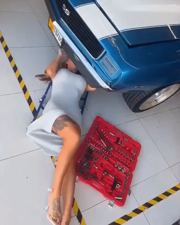 https://rehost.diberie.com/Uploads/384/20260620-152401-bce62ed0-092f-4b0a-abd5-08373358c06a.384.pic.gif