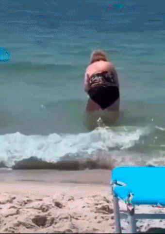 20260712-113316-c2cb9cf5-714b-4aa9-81b8-019c1d0f8b5e.384.pic.gif